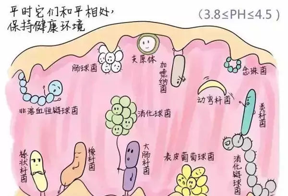 640 (5).png